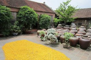 <b>North West </b> Vietnam Motorbike Tours loop – 9 Days