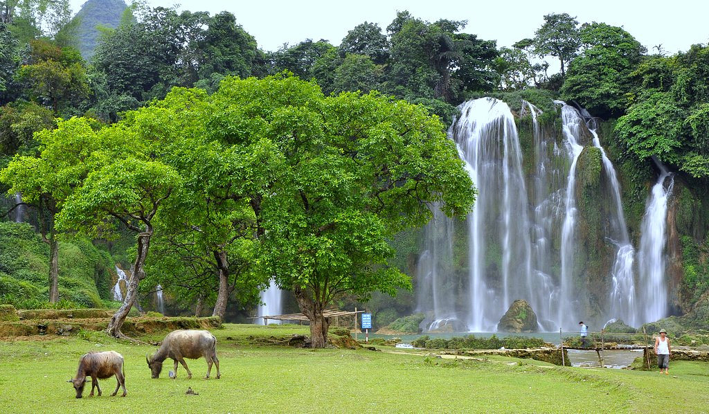 North Vietnam Motorbike <b>Tour </b>