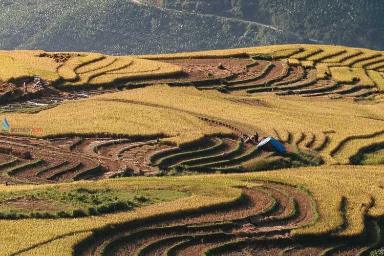 Travel by motorcycle to Y Ty, Vietnam