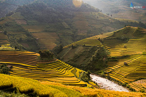 Mu Cang Chai motorbike tour